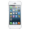 Apple iPhone 5 16Gb white - Свободный
